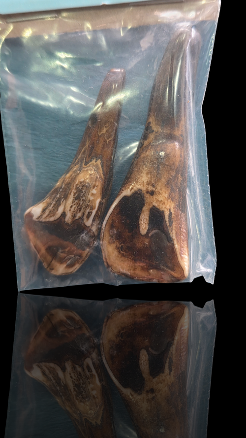 Buffalo teeth-2pk