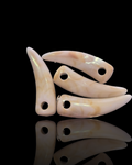 " Dragon" Teeth 4pk